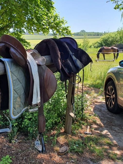 Reiten